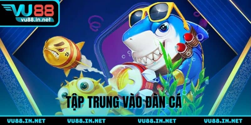 Bắn vào đàn cá để rút ngắn thời gian