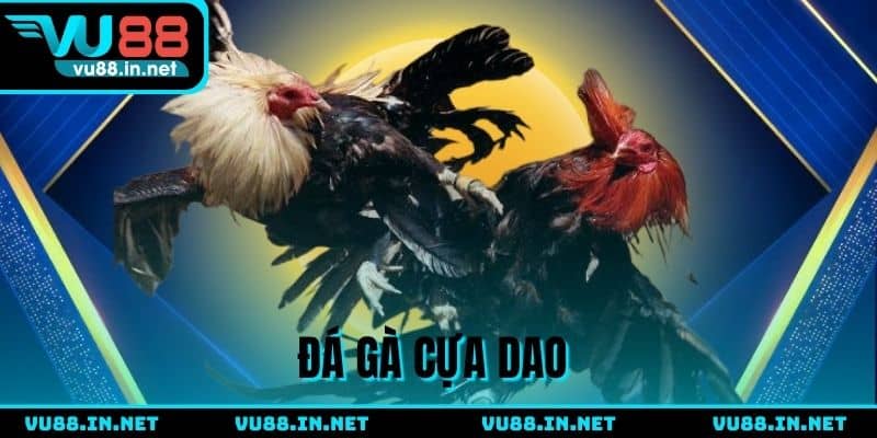 Đá gà cựa dao VU88 - Siêu phẩm giải trí thịnh hành top 1