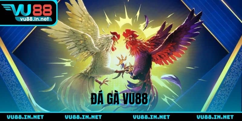 Đá gà VU88 - Đấu trường chọi kê đỉnh cao hàng đầu châu Á