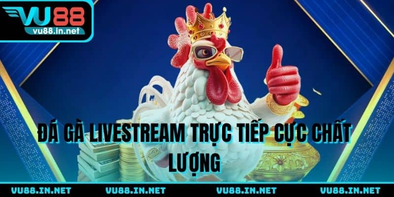 Đá gà vu88 livestream trực tiếp cực chất lượng