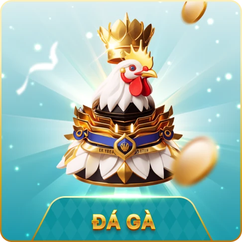 icon đá gà
