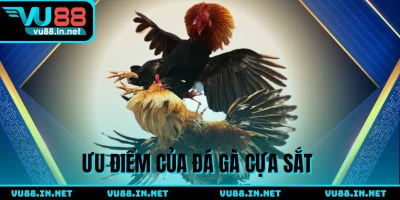Lý do nên chọn đá gà cựa sắt VU88 ngay bây giờ