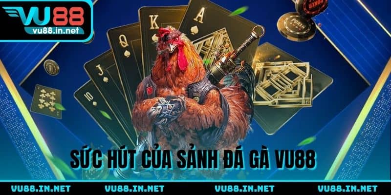 Lý do nên chọn đá gà VU88 ngay bây giờ