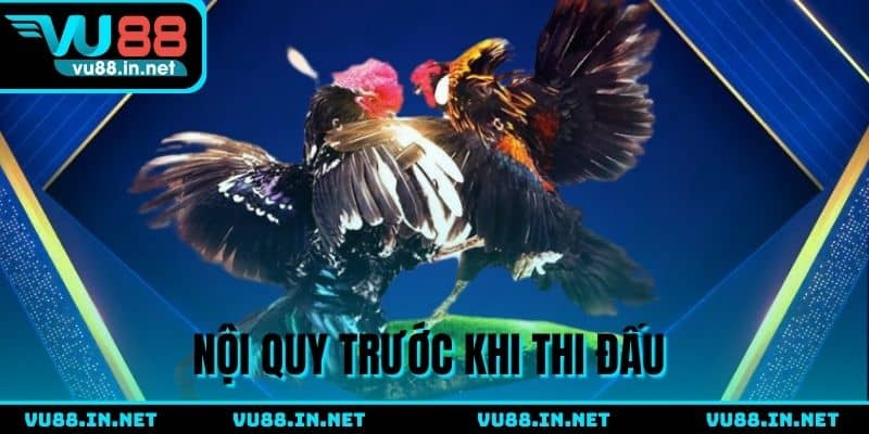 Nguyên tắc về sức khỏe của kê thủ