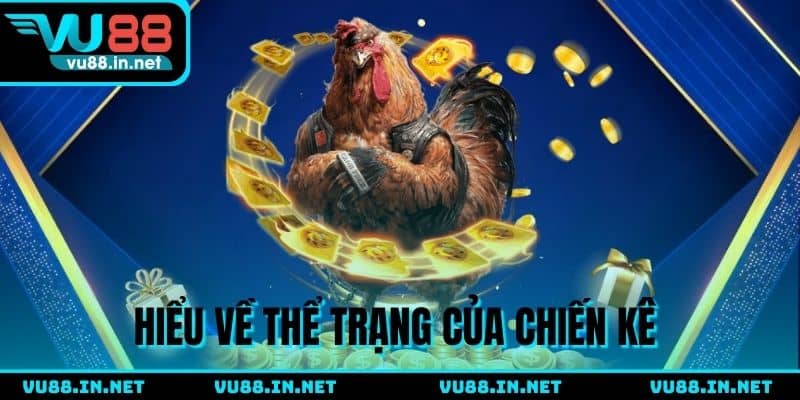 Theo dõi thể trạng của từng gà chiến