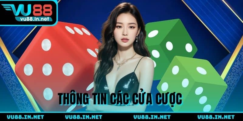 Thông tin 5 cửa cược Xóc Đĩa online cần biết