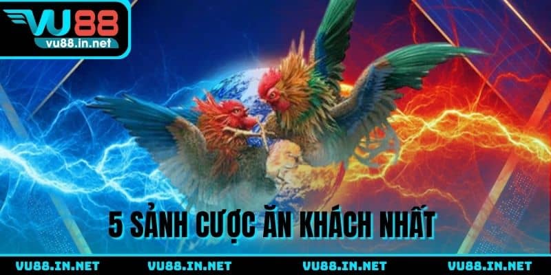 Top 5 sảnh đá gà hiện có tại nhà cái